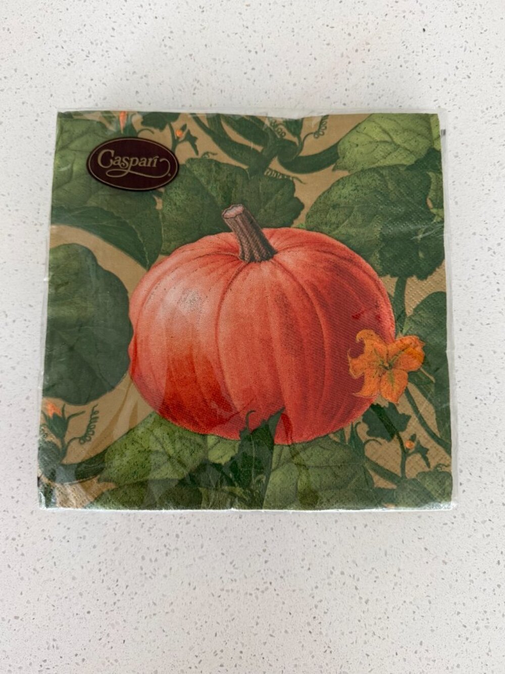 Autumn Pumpkin Halloween Paper Products - Picture 5 of 10